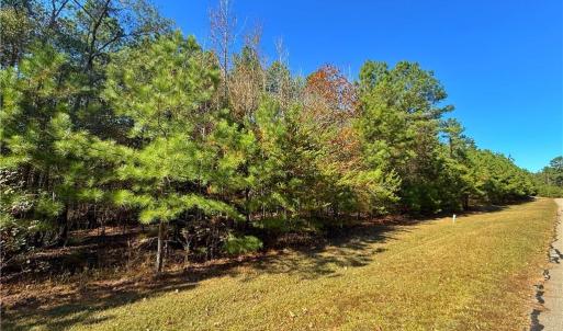 Photo #10 of 193 State, Rockingham, NC 3.7 acres
