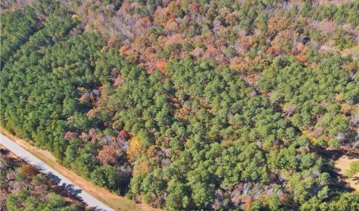 Photo #6 of 193 State, Rockingham, NC 3.7 acres