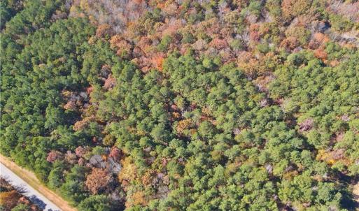Photo #5 of 193 State, Rockingham, NC 3.7 acres