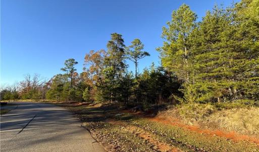 Photo #10 of 176 Lake View Pass, Rockingham, NC 5.1 acres