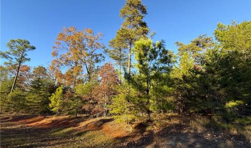 Photo #11 of 176 Lake View Pass, Rockingham, NC 5.1 acres