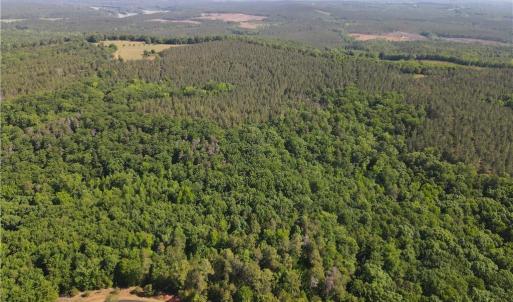 Photo #3 of 176 Lake View Pass, Rockingham, NC 5.1 acres