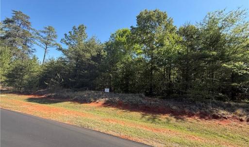 Photo #5 of 176 Lake View Pass, Rockingham, NC 5.1 acres
