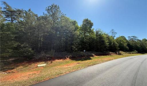 Photo #4 of 176 Lake View Pass, Rockingham, NC 5.1 acres