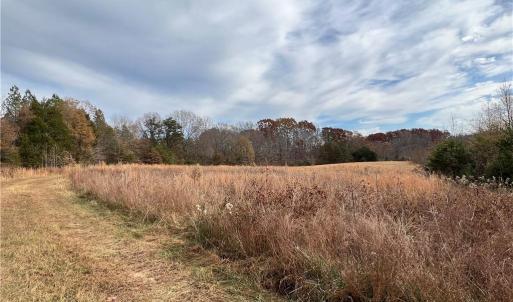 Cleared Portion of Property (1)