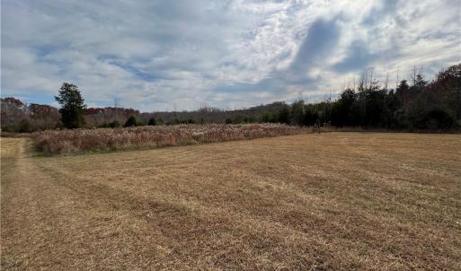 Cleared Portion of Property (2)