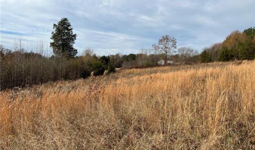 Cleared Portion of Property (4)