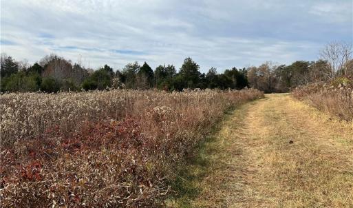 Cleared Portion of Property (3)