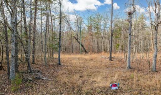 Photo #23 of Cooper, Staley, NC 8.7 acres
