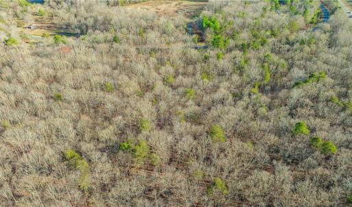 Photo #17 of Cooper, Staley, NC 8.7 acres