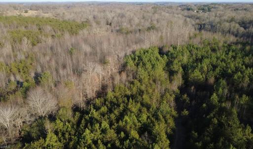 Photo #13 of Mulberry Academy, Franklinville, NC 10.3 acres