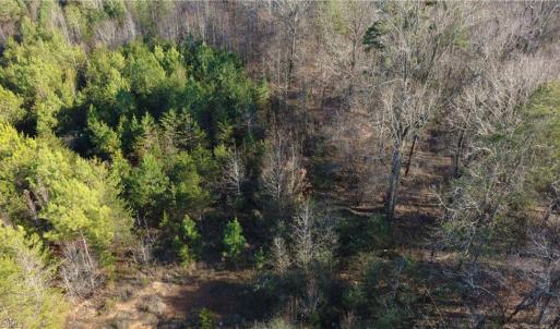 Photo #3 of Mulberry Academy, Franklinville, NC 10.3 acres