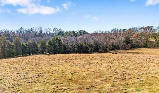 Photo #13 of Juney Beauchamp, Advance, NC 24.0 acres