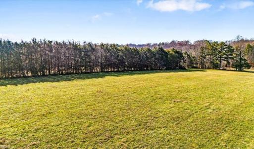 Photo #12 of Juney Beauchamp, Advance, NC 24.0 acres