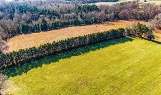 Photo #11 of Juney Beauchamp, Advance, NC 24.0 acres