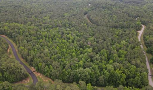 Photo #6 of 114 Lake View Pass, Rockingham, NC 9.4 acres