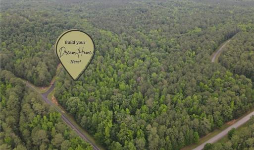 Photo #1 of 114 Lake View Pass, Rockingham, NC 9.4 acres