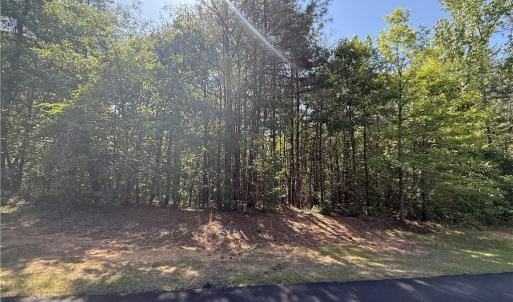 Photo #9 of 114 Lake View Pass, Rockingham, NC 9.4 acres