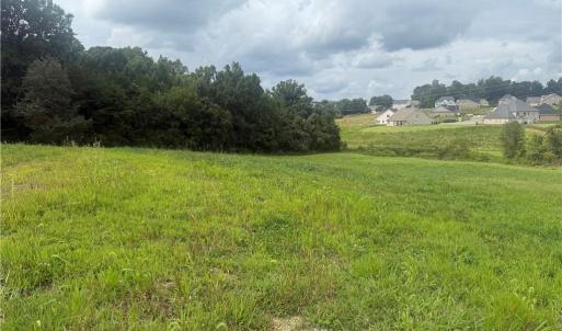 Photo #10 of Chancerwood, Rural Hall, NC 9.0 acres