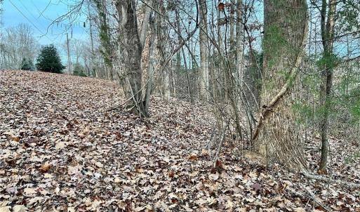 Front of 205 Horseshoe Bend