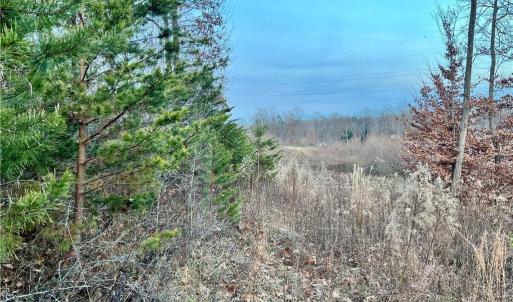 205 Horseshoe bend views