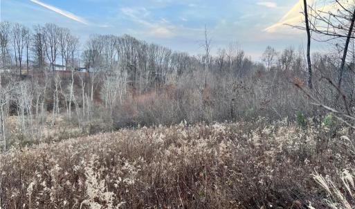 205 Horseshoe bend views