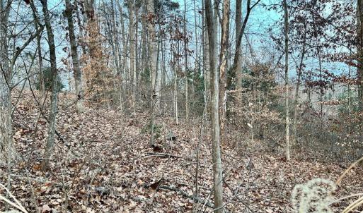 Front of 205 Horseshoe Bend