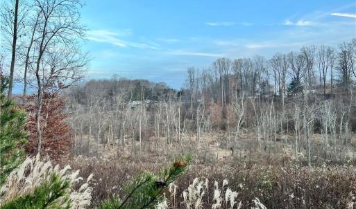 205 Horseshoe bend views