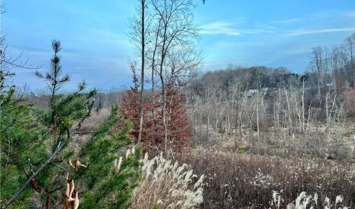 205 Horseshoe bend views