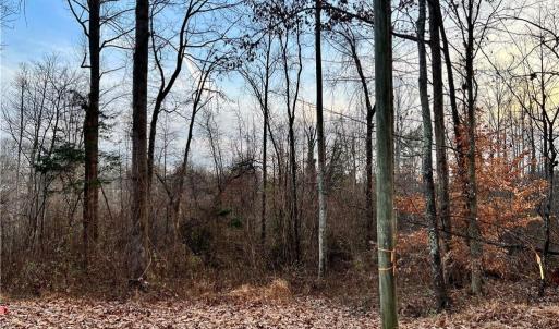 Front of 205 Horseshoe Bend