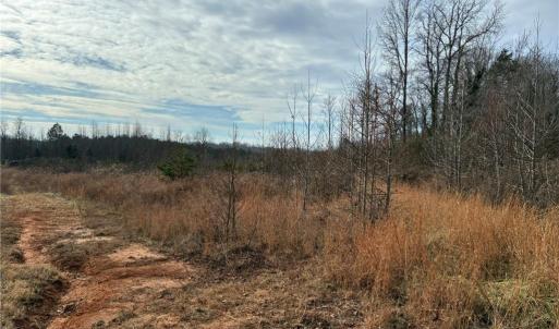 Photo #6 of 9033 Stack, Colfax, NC 28.5 acres