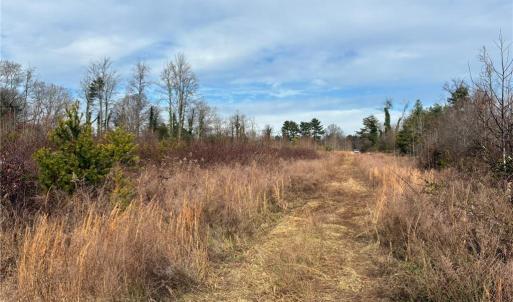 Photo #7 of 9033 Stack, Colfax, NC 28.5 acres