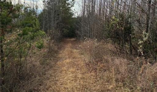 Photo #9 of 9033 Stack, Colfax, NC 28.5 acres