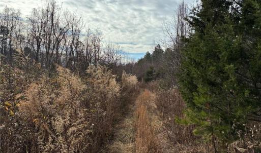 Photo #8 of 9033 Stack, Colfax, NC 28.5 acres