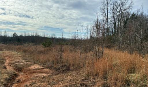 Photo #6 of 9033 Stack, Colfax, NC 28.5 acres