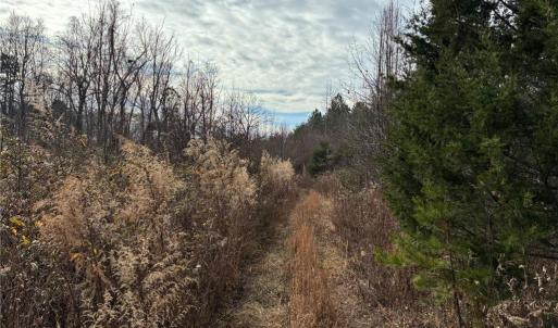 Photo #8 of 9033 Stack, Colfax, NC 28.5 acres
