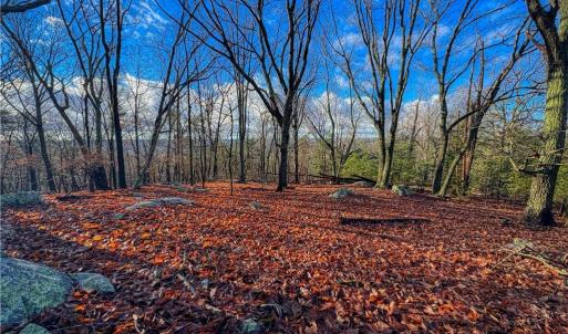 Photo #2 of 338 Sierra Trace, Denton, NC 1.8 acres