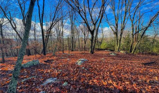 Photo #3 of 338 Sierra Trace, Denton, NC 1.8 acres