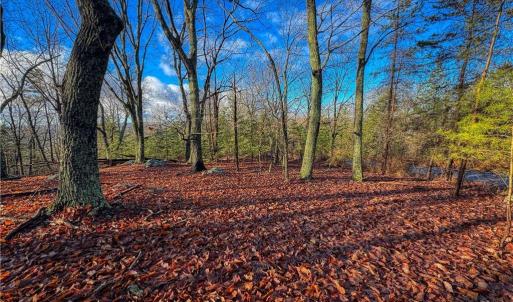 Photo #1 of 338 Sierra Trace, Denton, NC 1.8 acres