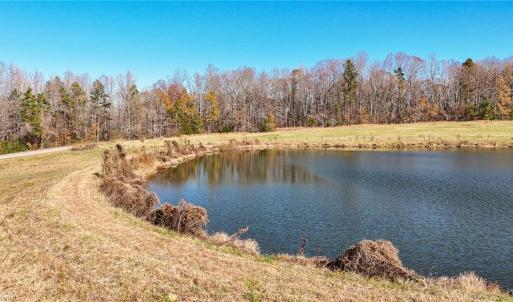 Photo #5 of 6605 Phillippi, Liberty, NC 20.5 acres