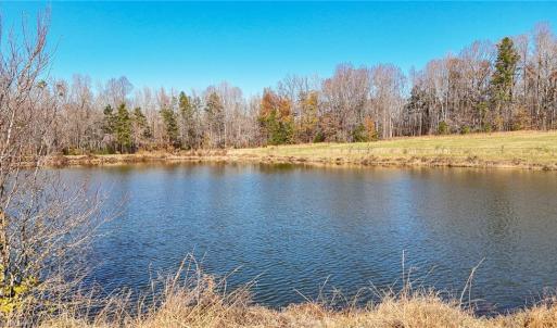 Photo #8 of 6605 Phillippi, Liberty, NC 20.5 acres