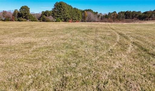 Photo #16 of 6605 Phillippi, Liberty, NC 20.5 acres