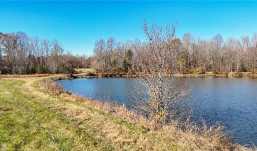 Photo #7 of 6605 Phillippi, Liberty, NC 20.5 acres