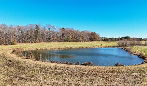 Photo #4 of 6605 Phillippi, Liberty, NC 20.5 acres
