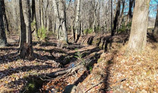 Photo #6 of 6436 Beulah Church, Liberty, NC 30.4 acres