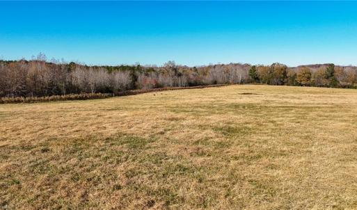 Photo #15 of 6436 Beulah Church, Liberty, NC 30.4 acres