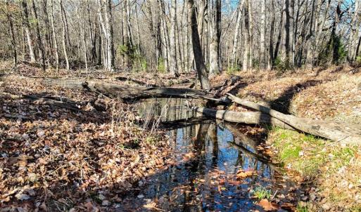 Photo #4 of 6436 Beulah Church, Liberty, NC 30.4 acres