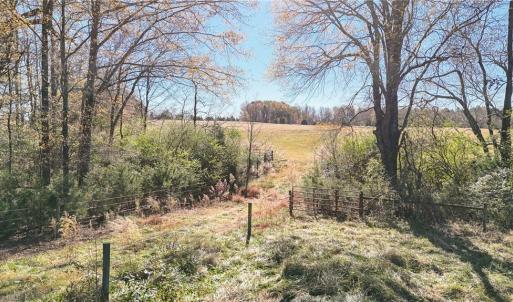 Photo #8 of 6436 Beulah Church, Liberty, NC 30.4 acres