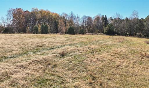 Photo #17 of 6436 Beulah Church, Liberty, NC 30.4 acres