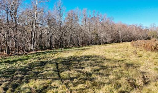 Photo #3 of 6436 Beulah Church, Liberty, NC 30.4 acres